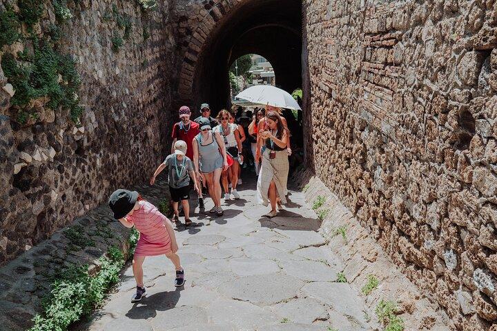 Full Day Tour to Pompeii and Mount Vesuvius from Sorrento