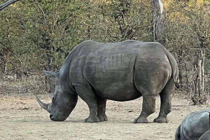 Rhino Game Drive in Mosi-oa-Tunya National Park