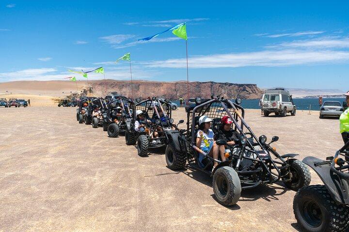 Mini Buggy 2 Hours Paracas National Reserve Adventure