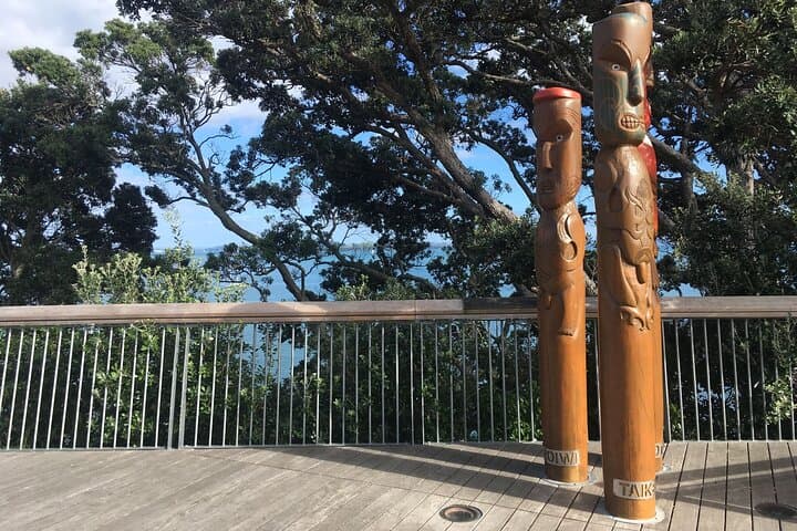Shore Excursion: Half-Day Auckland Volcanoes Tour