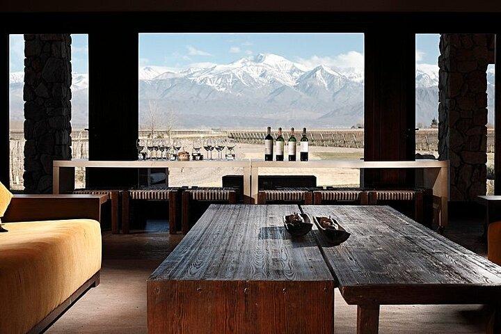 Full Day Winery in Mendoza and Tour of Potrerillos and Cacheuta