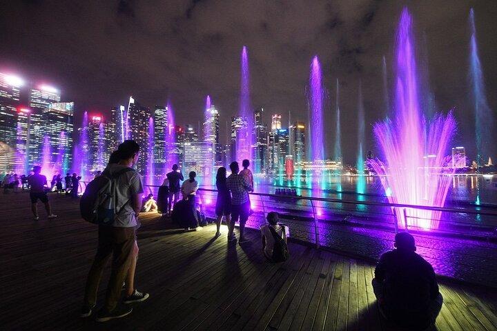 Singapore Night River Cruise, Garden Rhapsody & Spectra