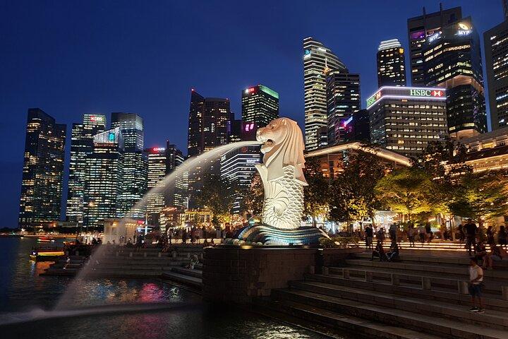 Singapore Night River Cruise with Garden Rhapsody and Spectra