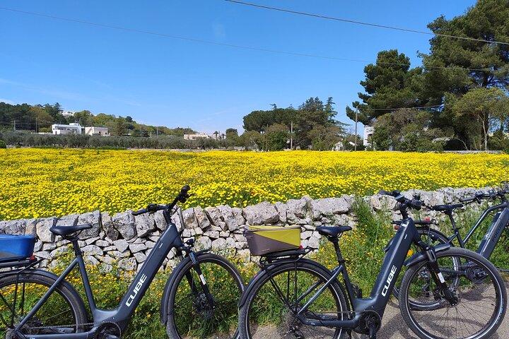 Smart & easy ebike tour in the Itria Valley: Martina Franca - Locorotondo