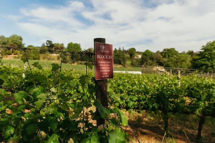 African Story Wine Tours in the Cape Winelands