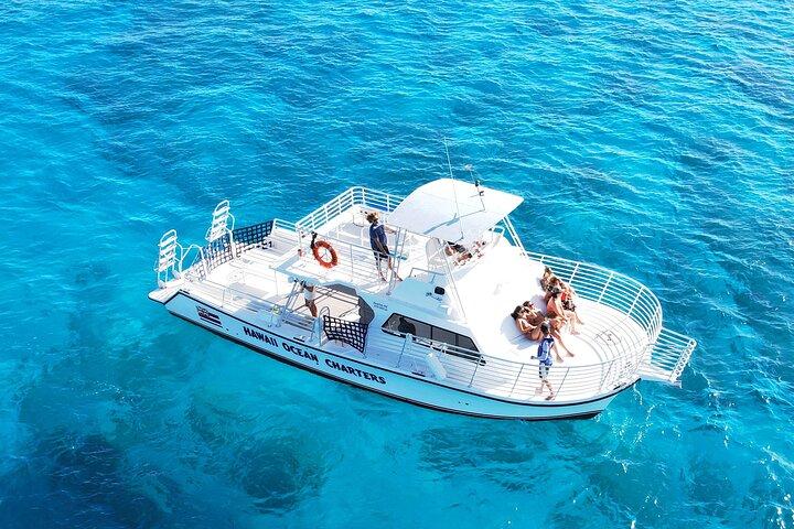 Waikiki: Small Group Turtle Canyon Snorkel Boat Tour