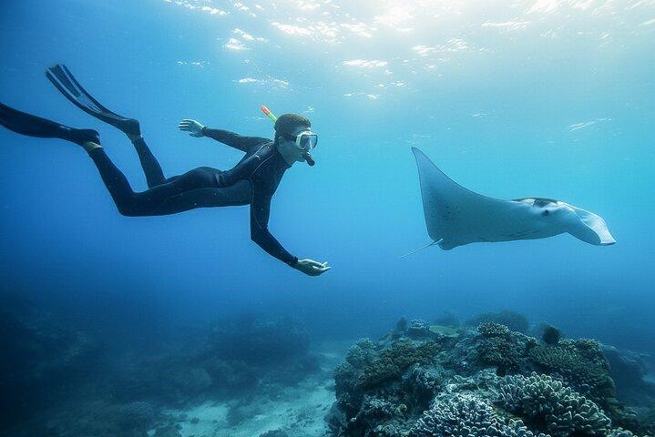 Snorkeling Day Trip To Lembongan and Penida