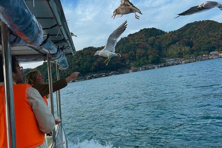 Kyoto Private Car Tour with English Guide Driver (Amanohashidate)