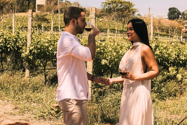 Pompeii Tour & Lunch with Wine Tasting Experience
