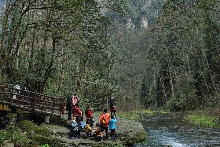 Private 2-Day Zhangjiajie Glass Bridge, Avatar & Tianmen Mountain