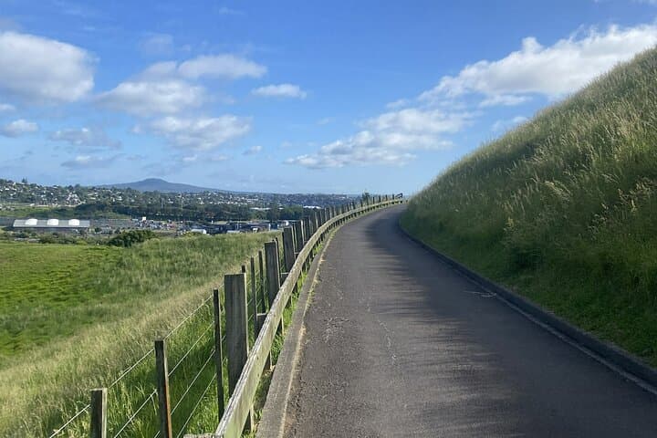 Half-Day Volcano Tour from Auckland