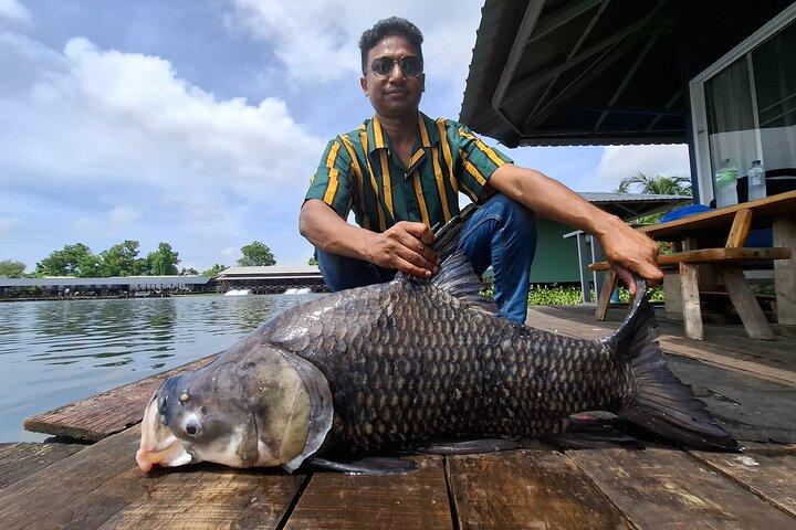 Mekong Catfish and Siamese Carp Fishing Guarantee Good Fishing