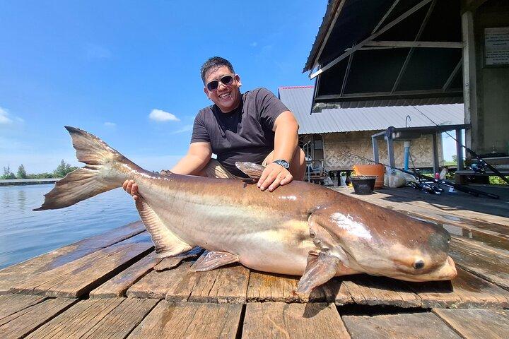 Mekong Catfish and Siamese Carp Fishing Guarantee Good Fishing