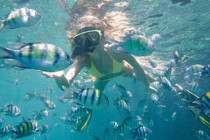 Blue Lagoon Snorkeling Experience in Bali