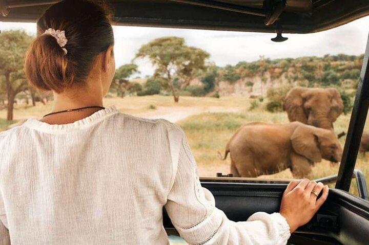 Pilanesberg National Park 6 Hour Safari from Sun City