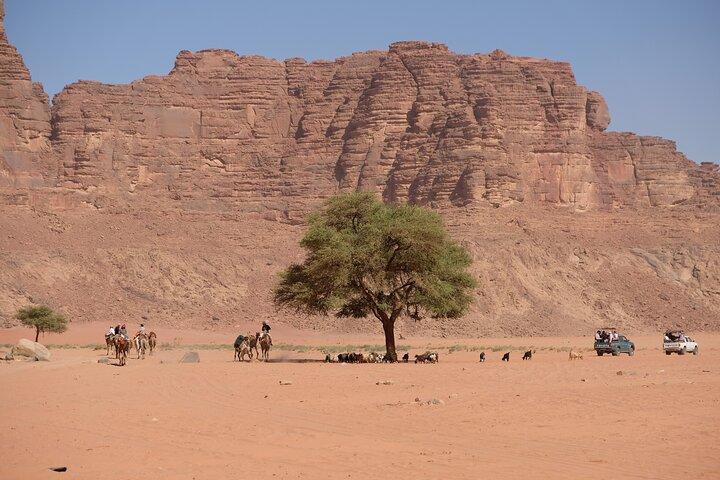 Wadi Rum Full Day Jeep Tour and Bedouin Family Lunch Experience