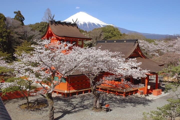 Mt Fuji Views Tour by Bullet Train Hokusai Train and Wasabi Farm