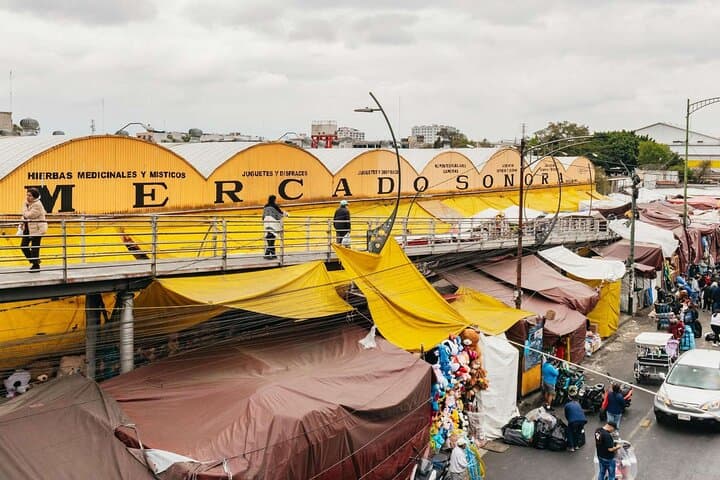 Mexico City : Exploring Mystic Markets La Merced & Sonora Food Tour