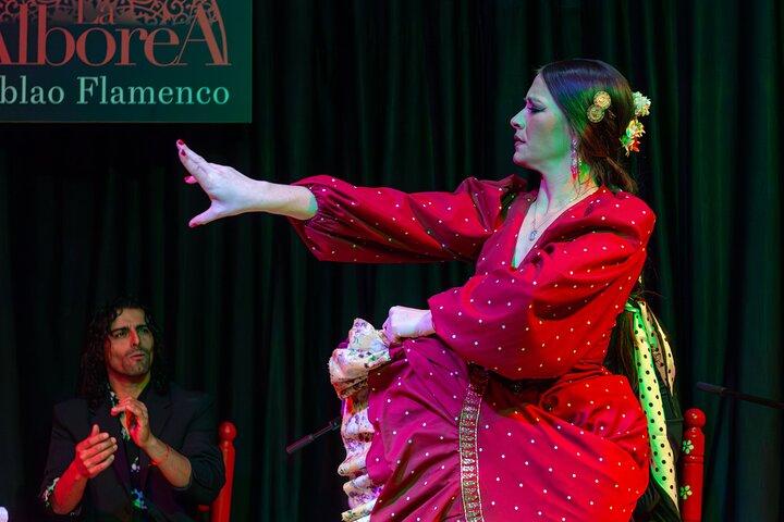 Flamenco Show in the Center of Granada