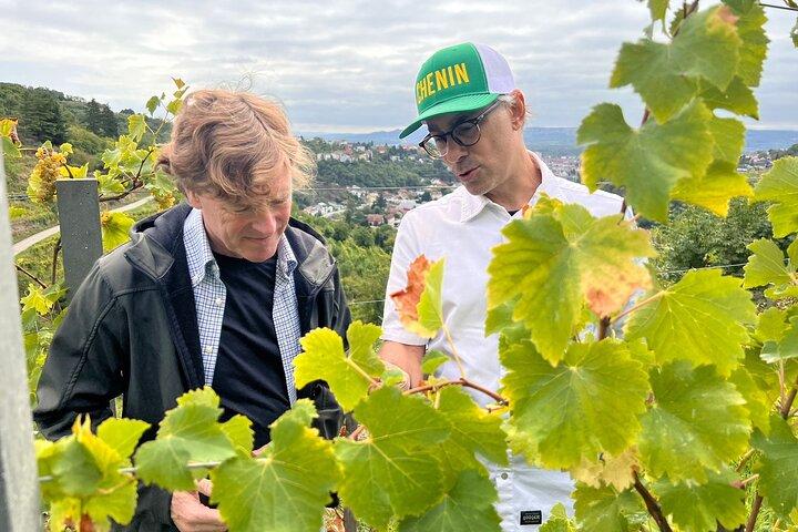Your Private Wine Masterclass with Int’l Expert Judge