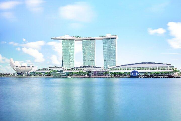 Singapore City Light Tour : Garden by the Bay, Supertree Rhapsody