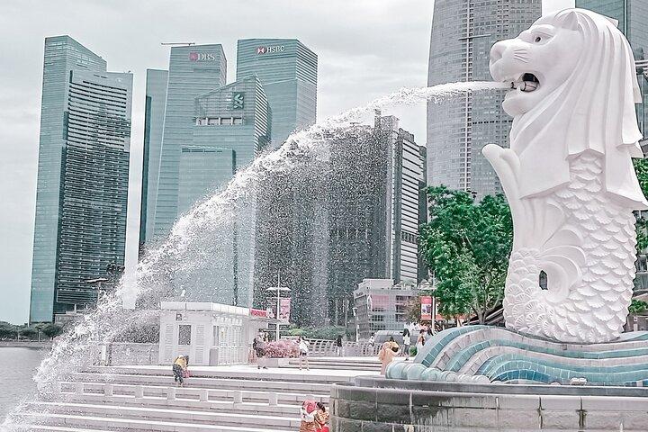 Singapore City Light Tour : Garden by the Bay, Supertree Rhapsody