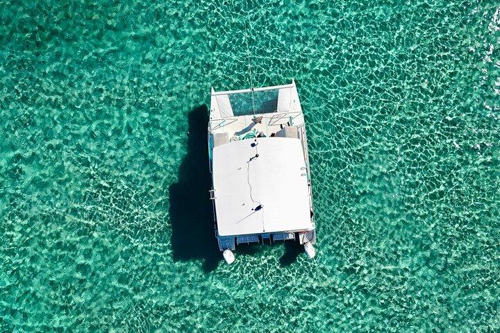 Peanut Island Sandbar and Swim Tour