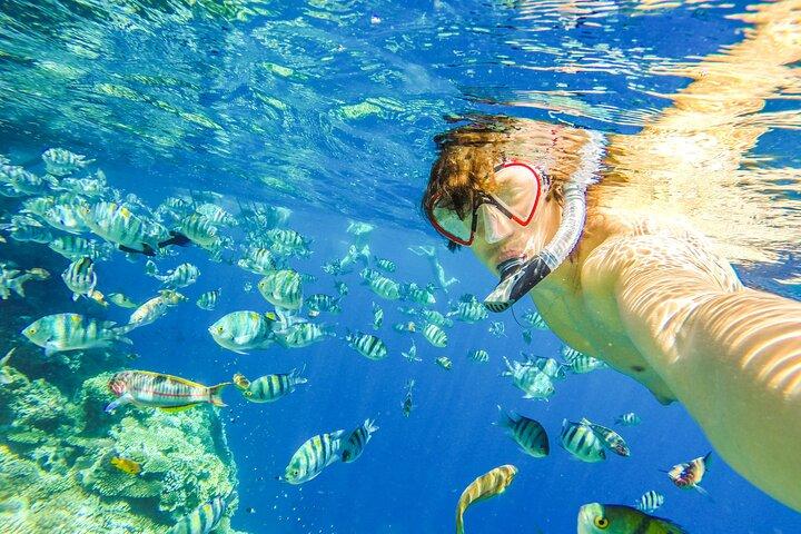 Sharm El-Sheikh: Ras Mohammed Snorkeling, Magic Lake & Allah Gate