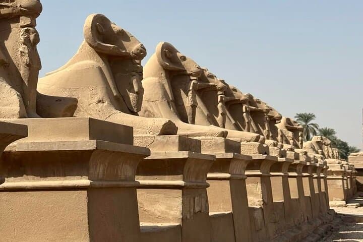Luxor Full Day Valley of Kings,Queens, Hatshepsut ,Karnak, Memnon
