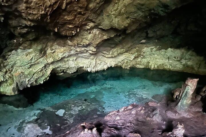 Spice Farm,Jozani forest,Kuza cave,Paje beach&The Rock Restrant