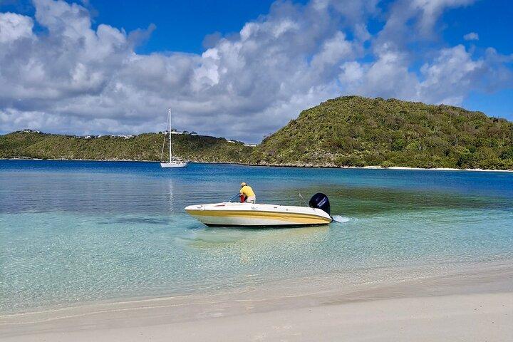 FANTASTIC Green Island and Sea Turtles - Half Day share boat trip