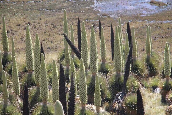 3Days 2Nights Classic Huaraz Tour The Best of the Best Daily Tour