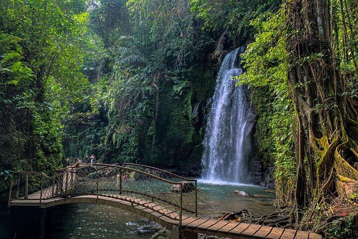 Ubud Bali Half Day Tour