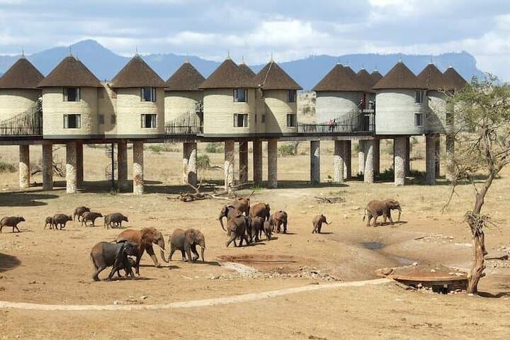 8 Days Kenya mid-range Safari Amboseli, Salt Lick Tsavo & Diani
