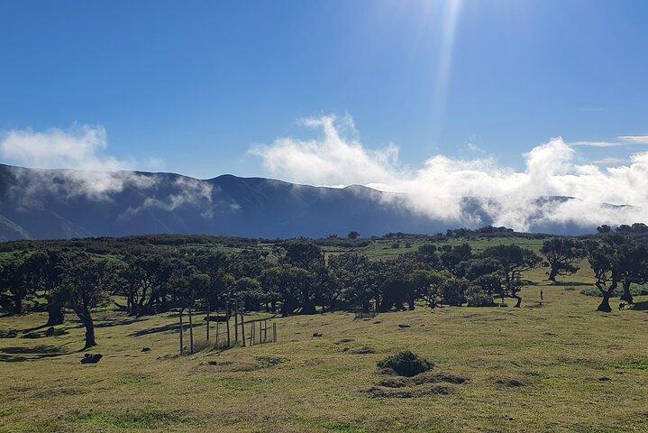 West Madeira Tour – Porto Moniz, Fanal Forest & Cabo Girão