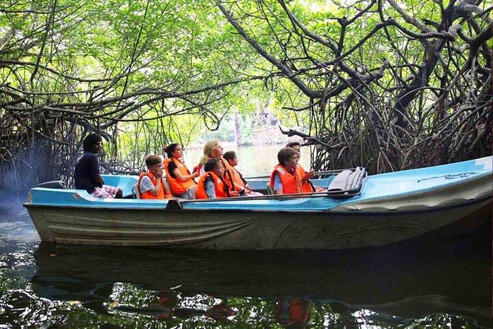 Paramotoring and mangrove River boat Safari Adventure in Bentota
