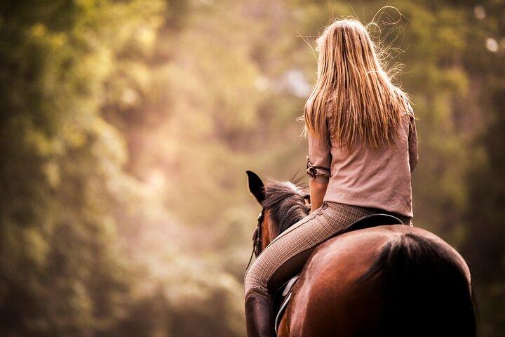 Exclusive Horseback Experience and Wine Tasting