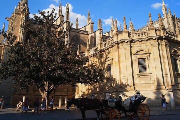 Cathedral of Seville English Guided Tour with Skip the Line & Access to Giralda