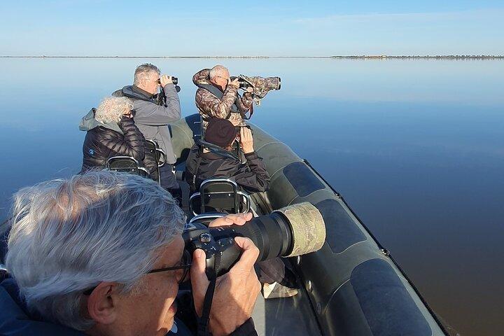 Lisbon : Birdwatching Boat Tour - Tagus Estuary