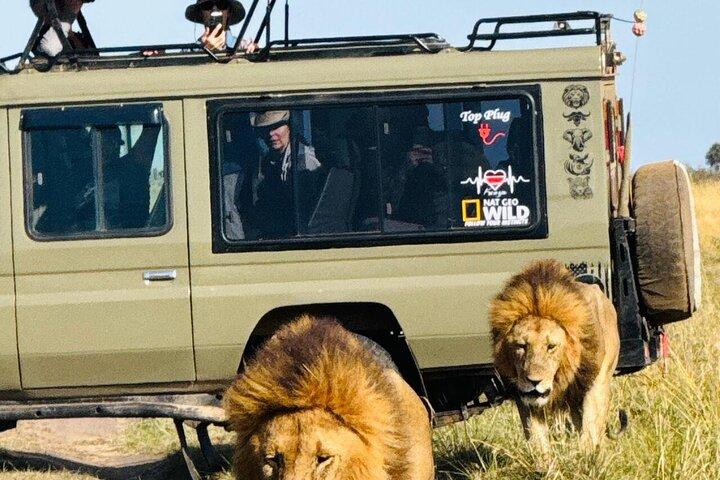 Nairobi National Park Half-Day Game Drive Guided Tour