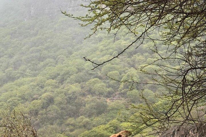East Salalah and City Gems(private tour)
