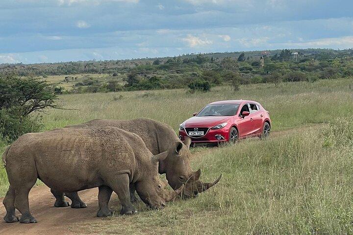 Nairobi National Park Half Day Safari Game Drive