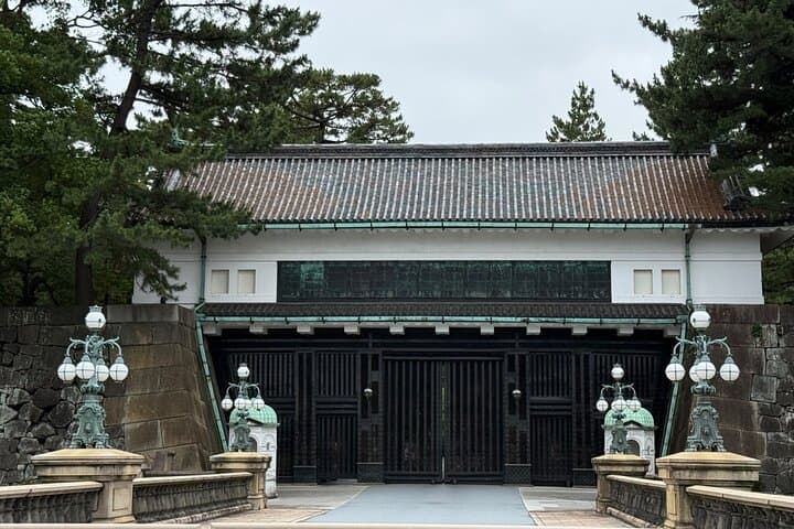 Imperial Palace Tokyo Station and Tsukiji Market Private Tour