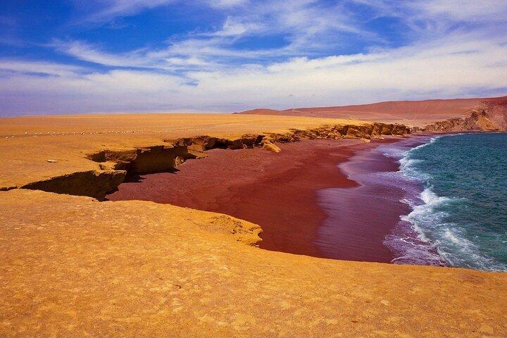 Paracas Full Day Tour to Ballestas Islands and National Reserve
