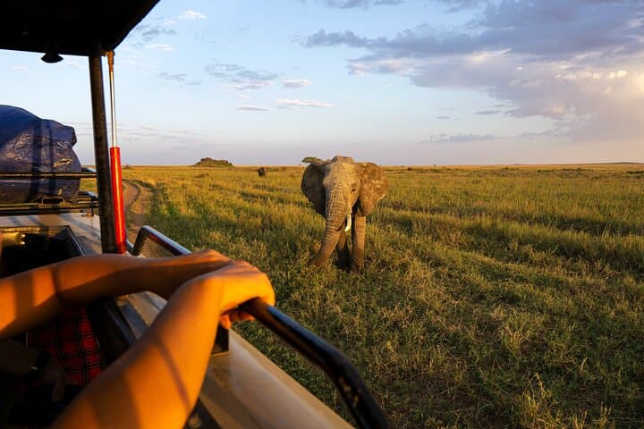 12 Day Cultural And Wilderness Experience in Kenya