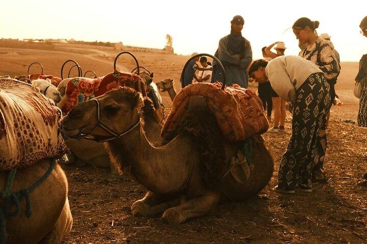 Marrakesh:Agafay Dinner Show with Quad Bike and Sunset Camel Ride