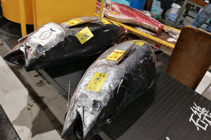 Complete Tuna Auction & Toyosu Market Tour with Fumi