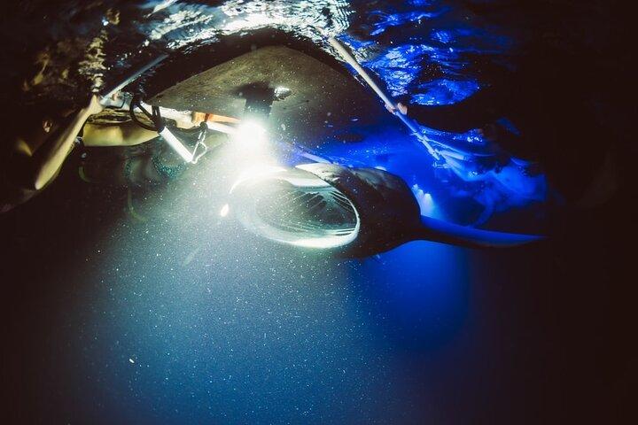 Kona Manta Ray Snorkel Tour: Guaranteed or come again free