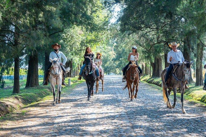 Agaves and Tequila Horseback Ride in El Arenal Jalisco