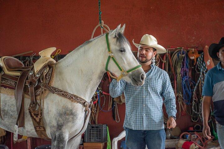 Agaves and Tequila Horseback Ride in El Arenal Jalisco